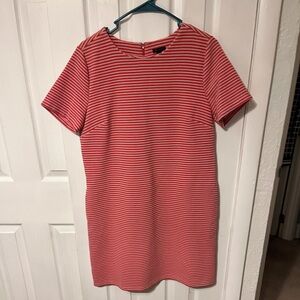 Ann Taylor Casual Dress Size 8